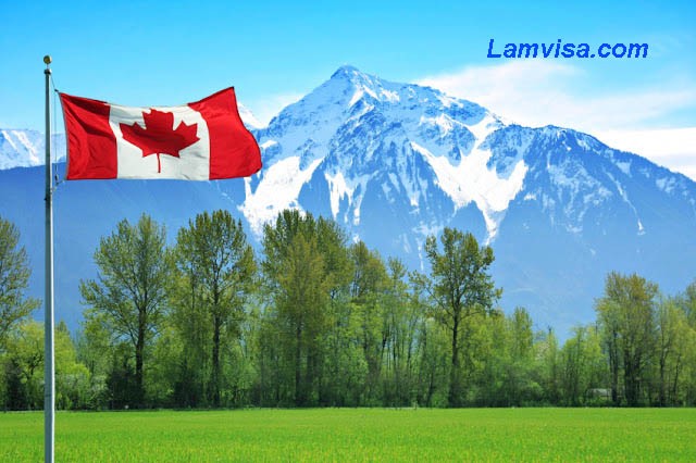 Làm visa Canada cho người nước ngoài.